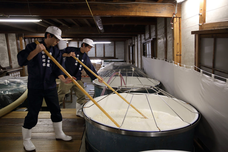 Brewers at Dewazakura working a tank of sake with long wooden poles.