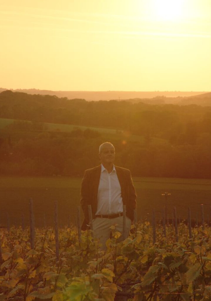 Régis Camus in a vineyard at sunset.